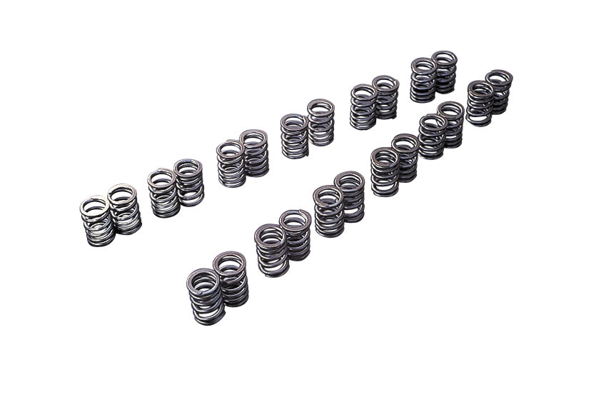 Tomei - VALVE SPRING SET RB20DE(T)/VG30DE(TT) (TA304A-NS07A)